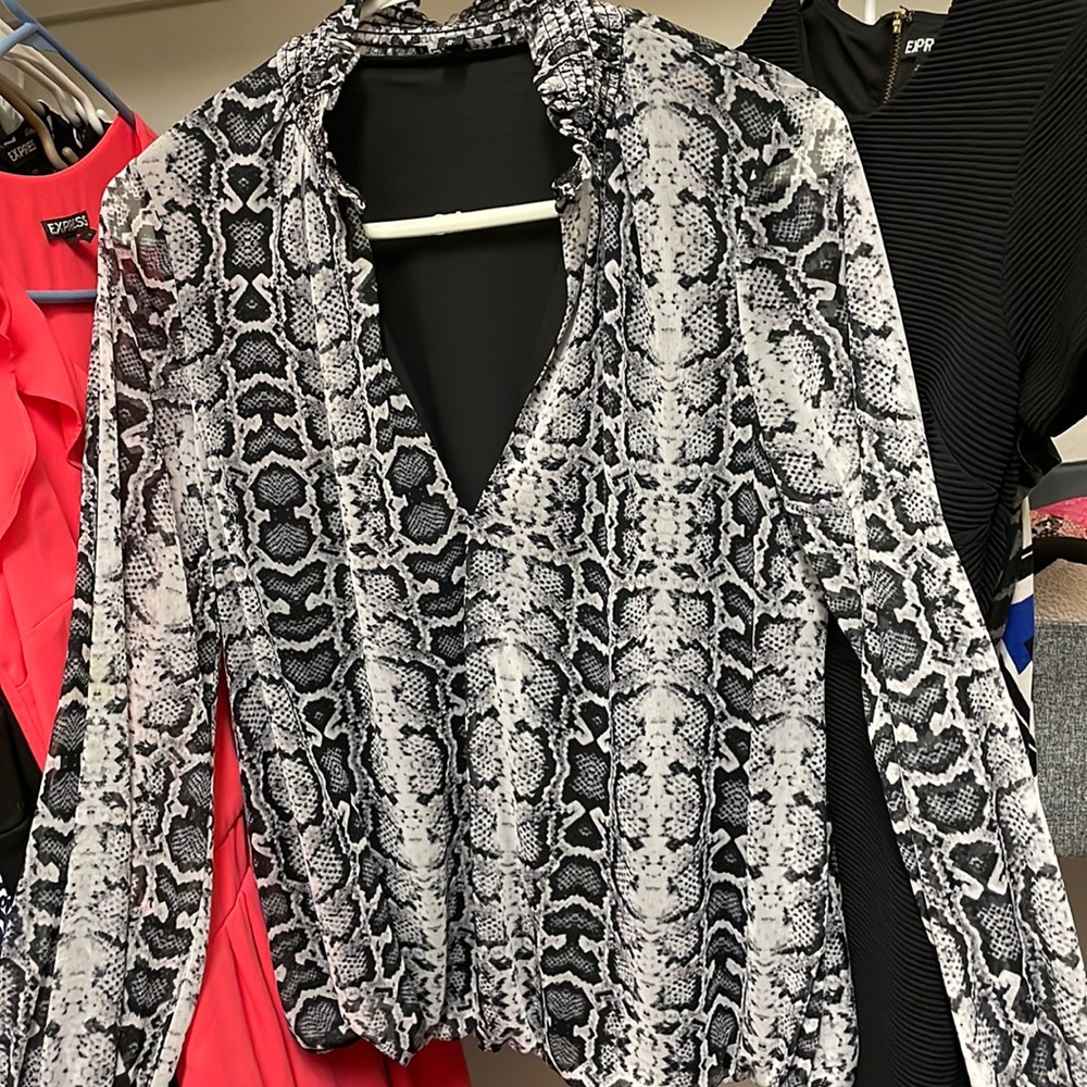 Express dress shirt